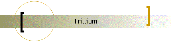 Trillium