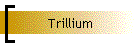 Trillium